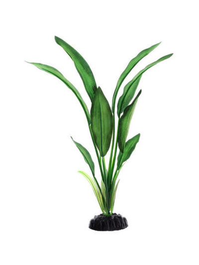 Шёлковое растение Эхинодорус Блейхери 30см