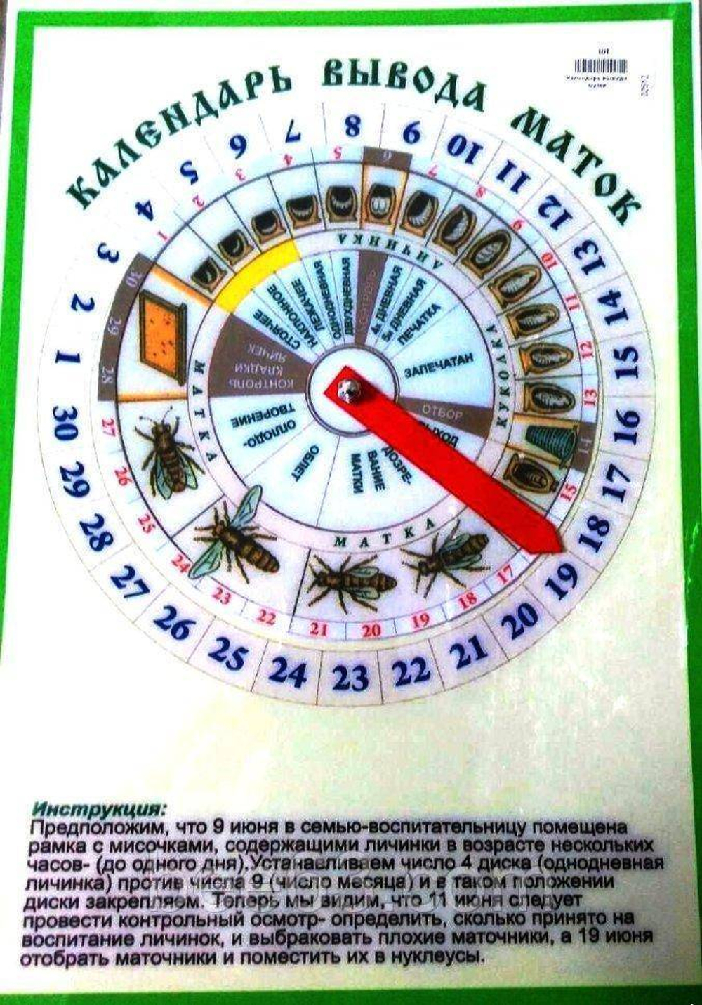 Календарь вывода маток