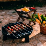 Модуль для шампуров для костровой чаши купить