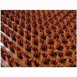 Щетинистое входное покрытие «Травка»