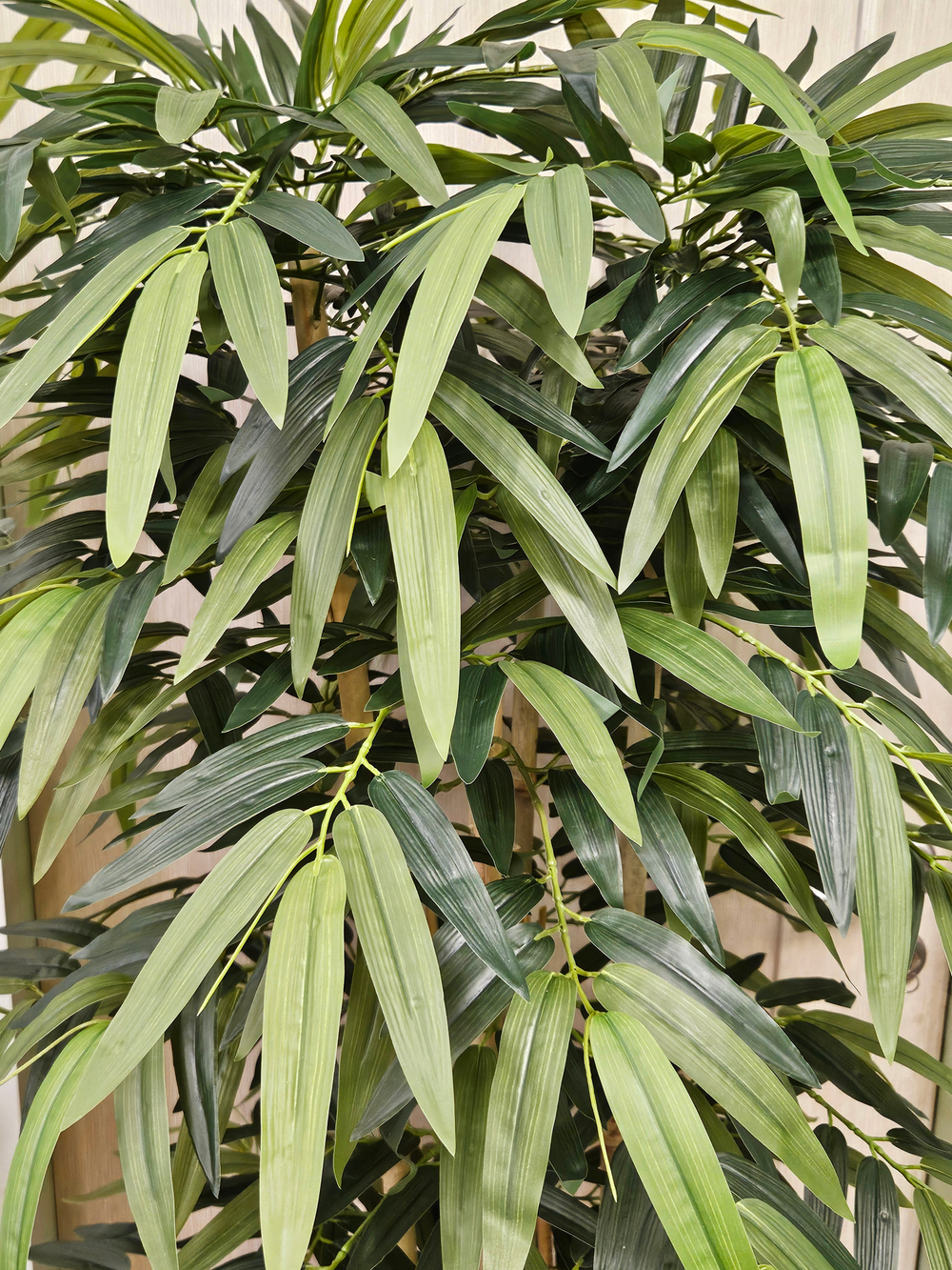 Дерево Бамбук 150см в кашпо