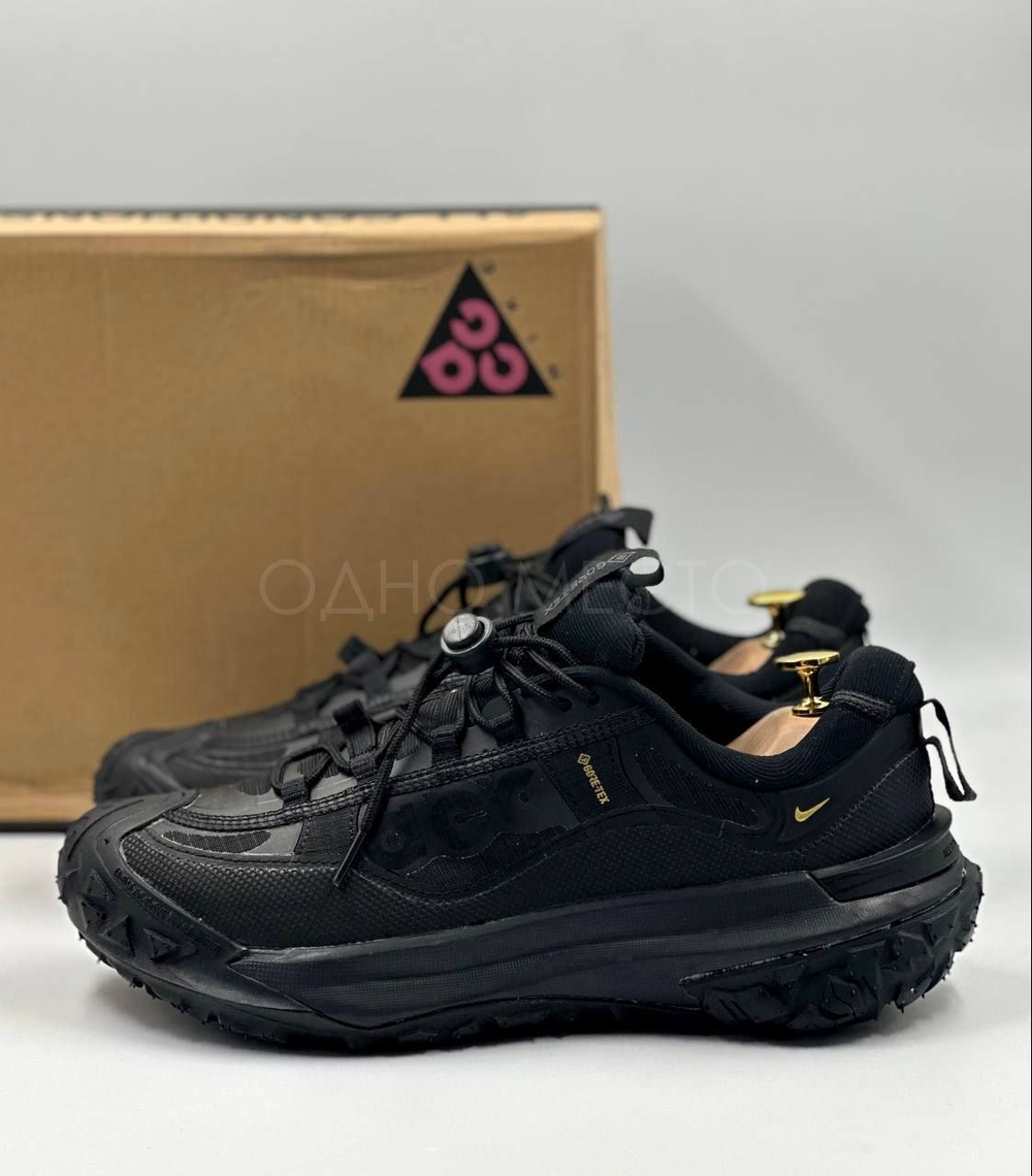 Nike ACG Mountain FLY 2LOW