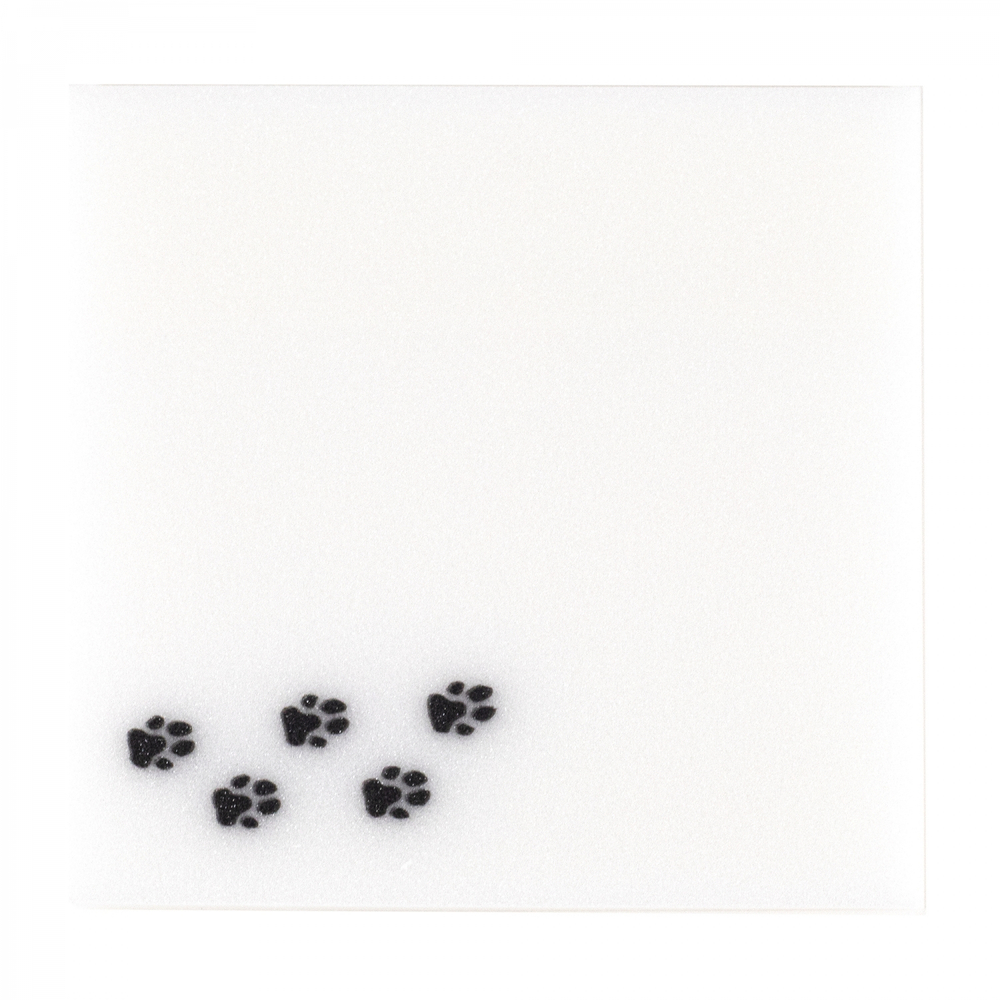 Прозрачные стикеры для заметок с клеевым краем, Alingar, 75 х 75 мм, 50 л., покрытие starlight touch, "Сat TRACKS", голубой, водонепрониц., европодвес