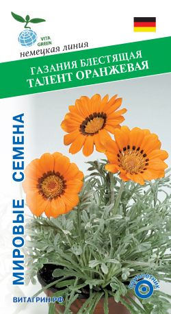 Газания блестящая Талент Оранжевая 8шт Мировые Семена VITA GREEN