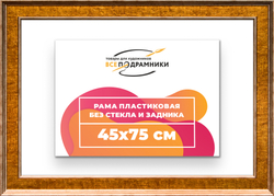 Рама 45x75 для картин и фотографий