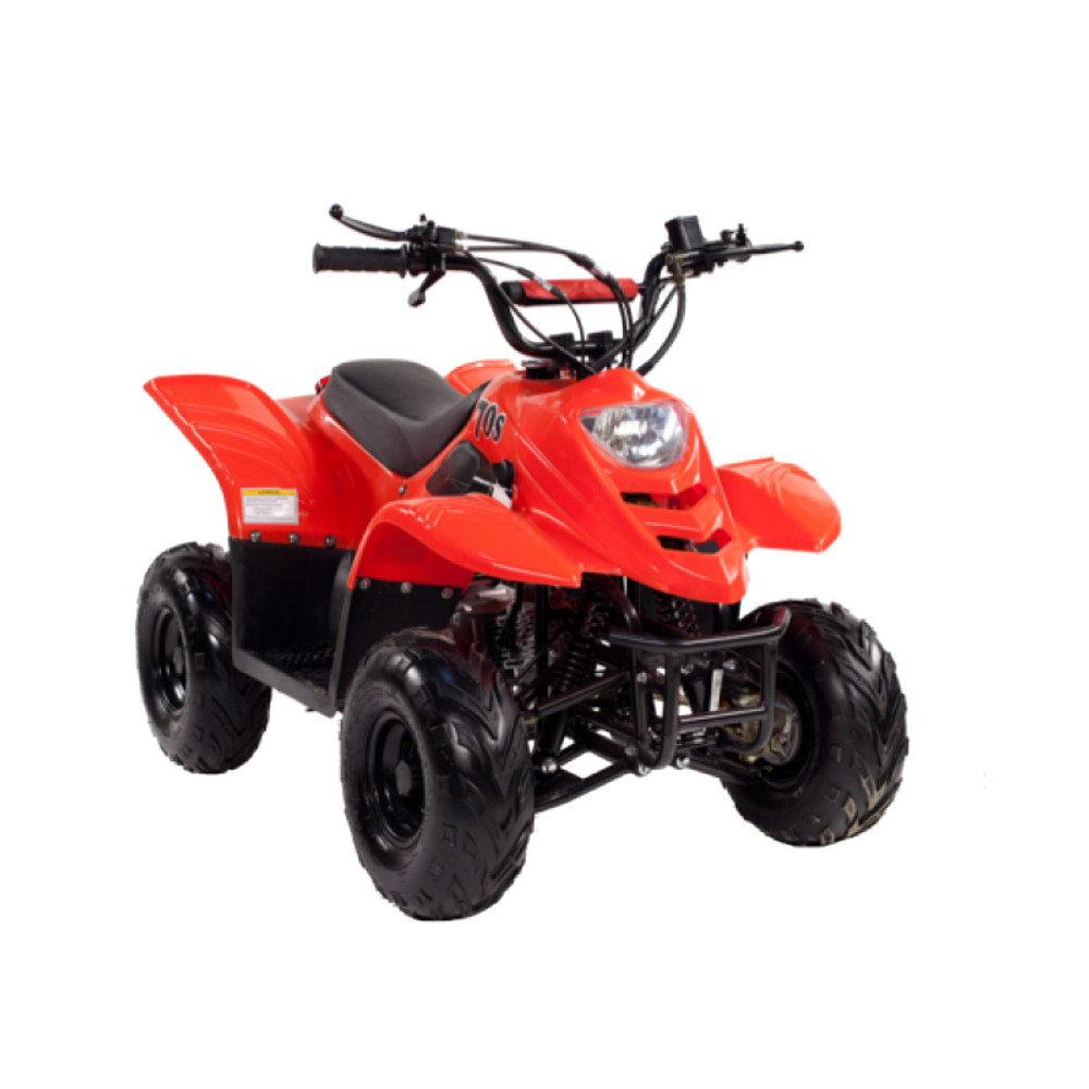 Квадроцикл IRBIS Dingo 50s