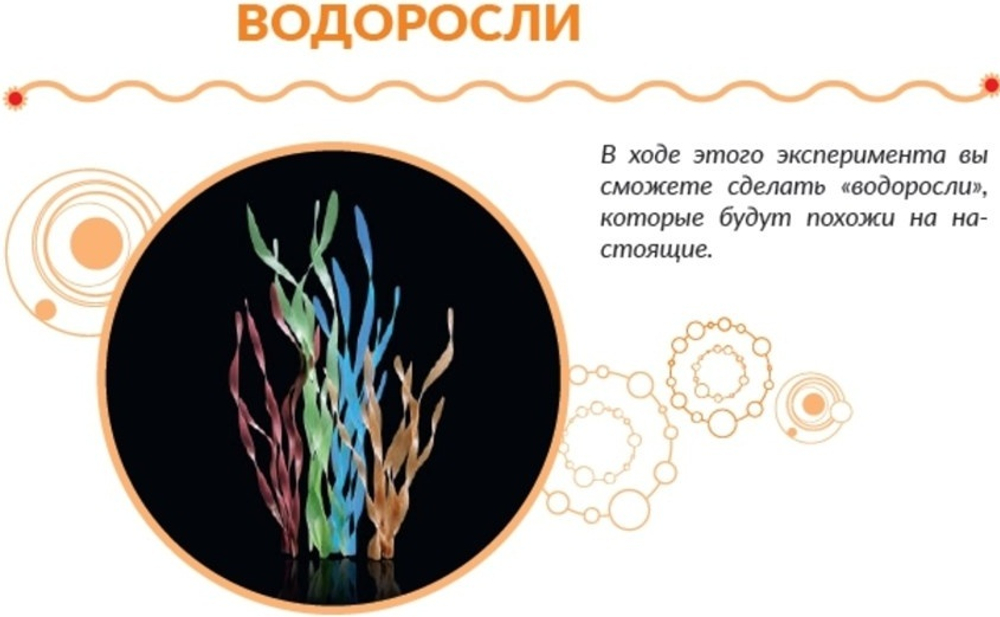 Набор для опытов и экспериментов «Лаборатория кораллов»