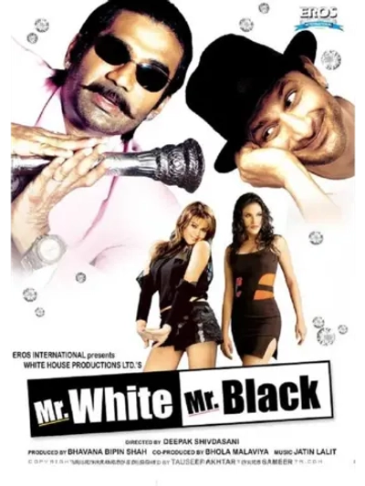 Мистер Уайт и мистер Блэк (2008) (DVD-R)