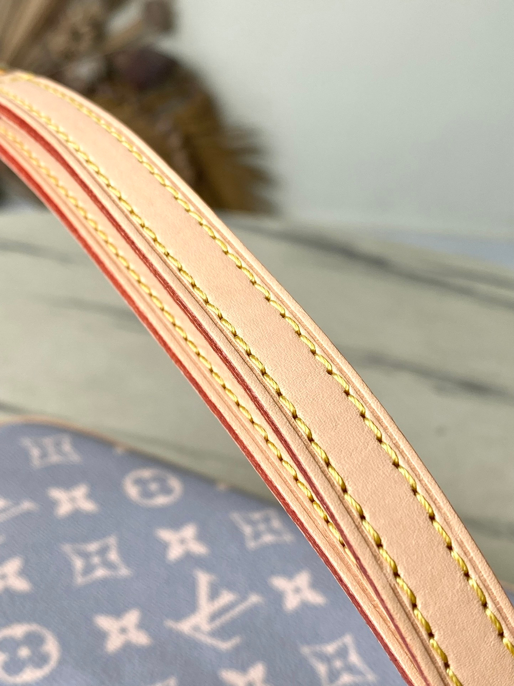 Louis Vuitton Ivy Wallet On Chain Bag