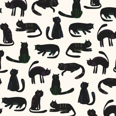 чёрные кошки