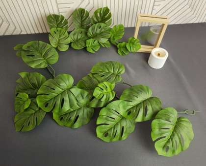 Монстера лиана / Арт 4062