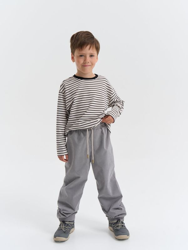 Брюки демисезонные 