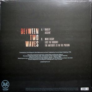 GoGo Penguin / Between Two Waves (12" Vinyl EP)