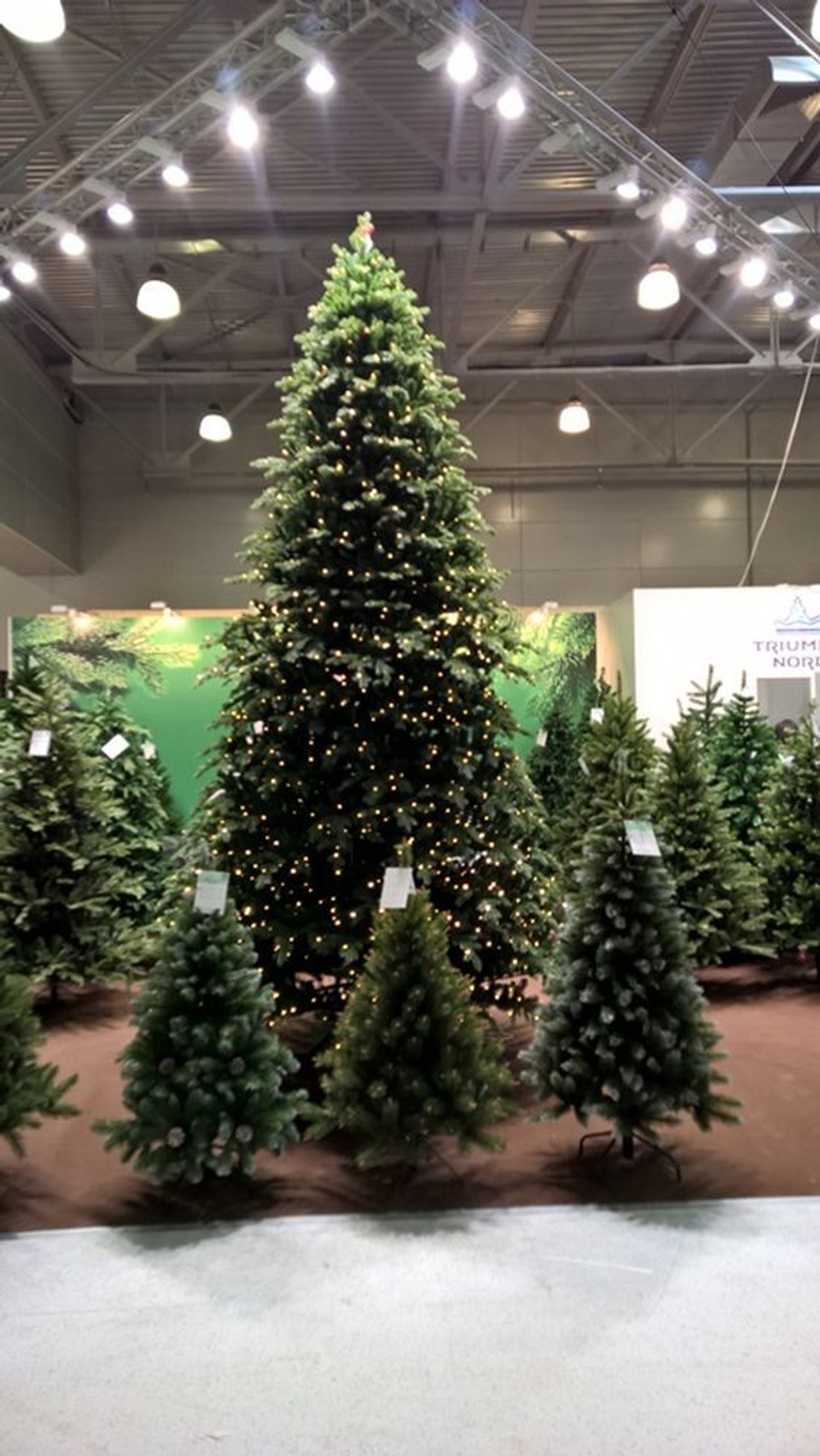 Ель Шервуд Премиум 425см 1840 ламп зеленая Triumph Tree