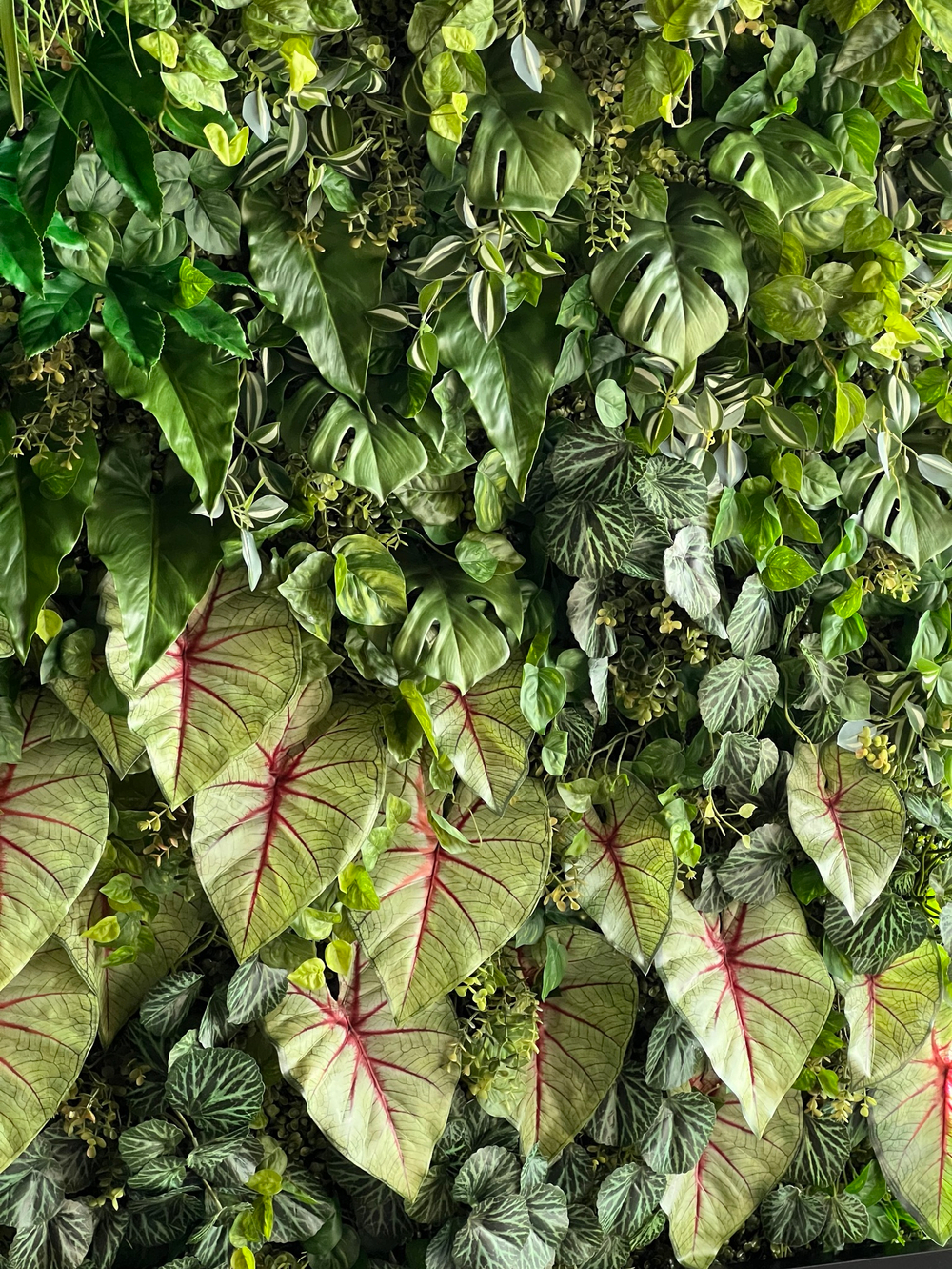 Вертикальное озеленение искусственными растениями автосалона «100 машин»