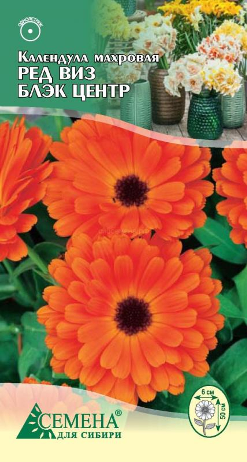 Календула Ред виз блэк центр 0,4г Ц Поиск