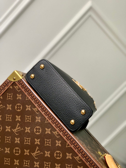 Louis Vuitton Capucines Mini