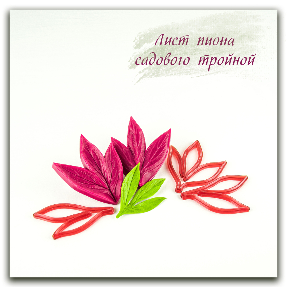 Лист пиона садового тройной