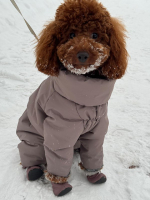 Зимний комбинезон с длинными лапами (девочка)