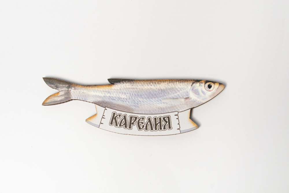 Деревянные магниты «Рыбы Карелии»