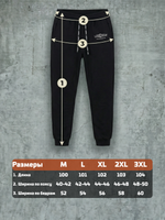 Брюки демисезонные с карманами LEGENDA Logo черные