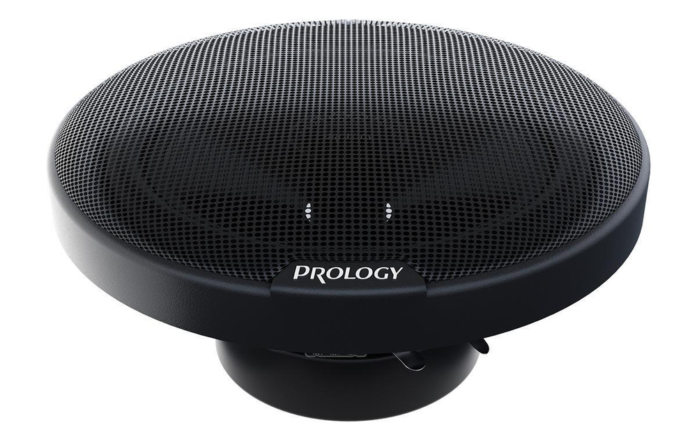 Динамики Prology PS-165