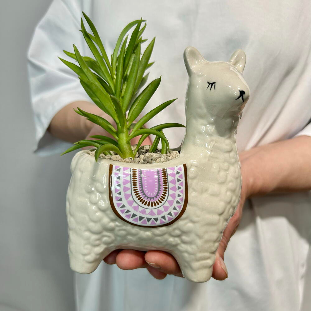Ламуля