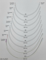 Каркасы для бюстгальтера усиленные с нейлоновым покрытием тип 13 (Китай)