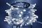 Светодиодная нить 100 холодных белых LED ламп, 10 м., 24В, статика, белый провод ПВХ, Teamprof (TPF-S10C-24V-CW/W)