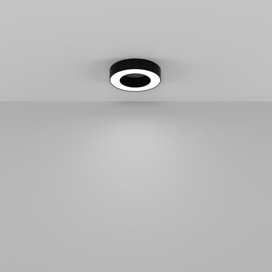 Потолочный светильник Technical C093CL-24W4K-B