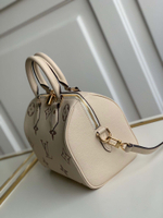 Louis Vuitton Speedy 25