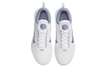 Кроссовки Nike Court Zoom Nxt