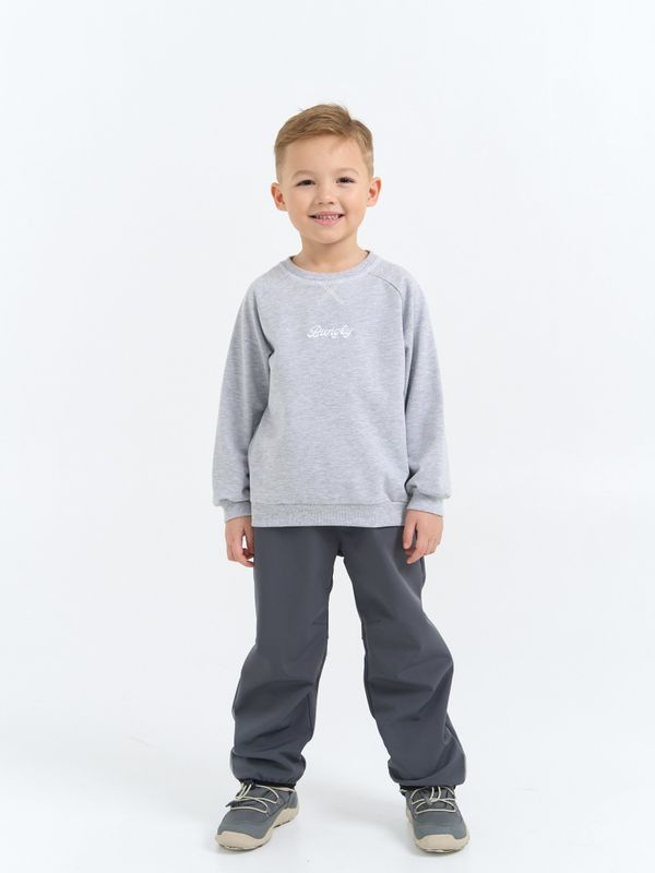 Брюки Softshell демисезонные 