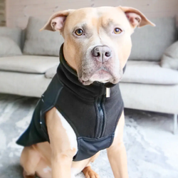 Непромокаемая попона Dog Coat BullyBillows