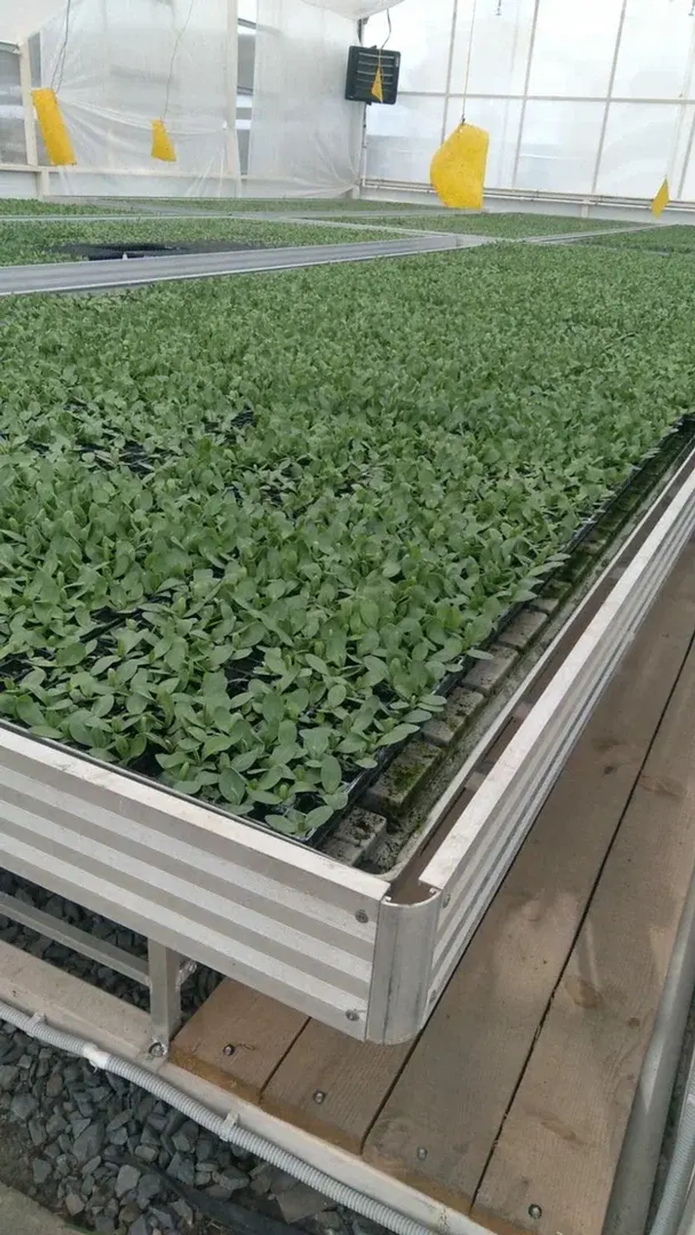 Стол 1820х3020х800мм в комплекте с поддоном-вкладышем