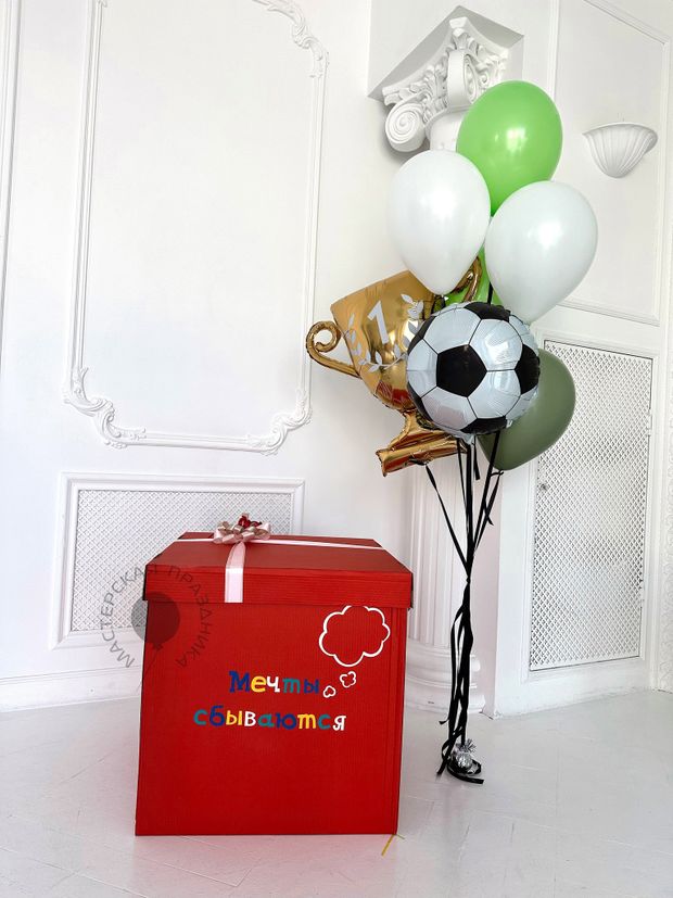 "Успешный матч" (набор из 7 шаров в коробке) №2213