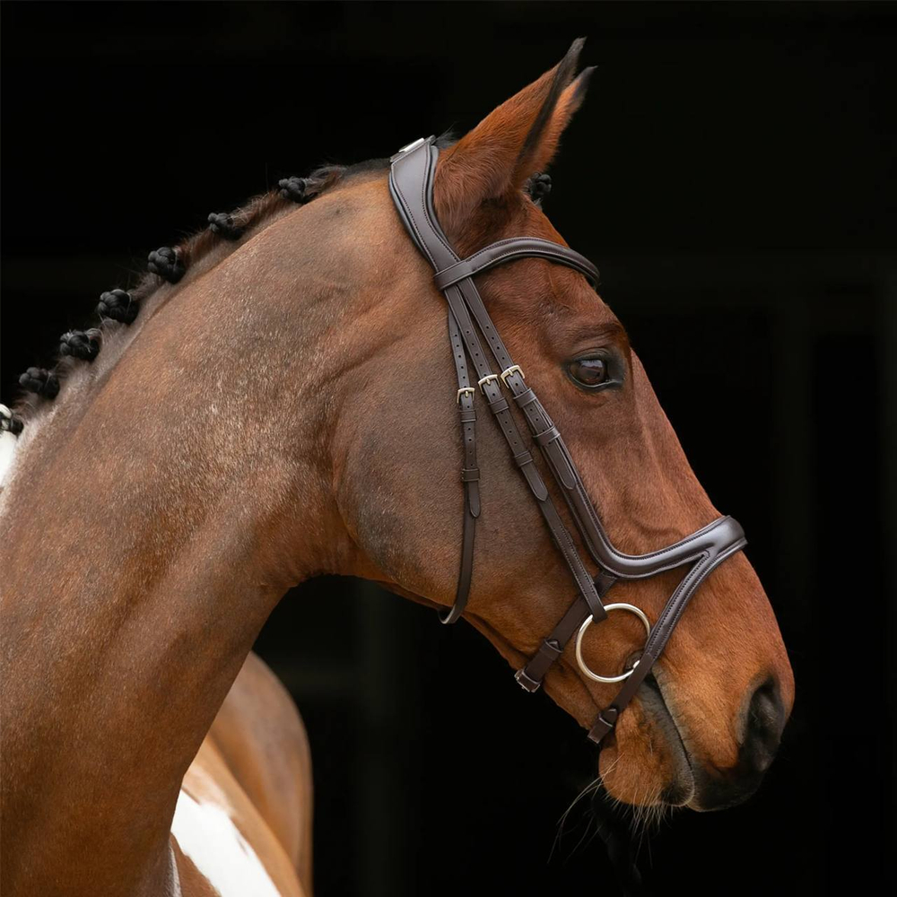 Трензельное оголовье Shires Velociti Lusso Comfort Flash Bridle - Havana