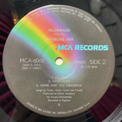 Винтажная виниловая пластинка LP Wishbone Ash Pilgrimage (Japan 1976) (No Obi) Lullaby