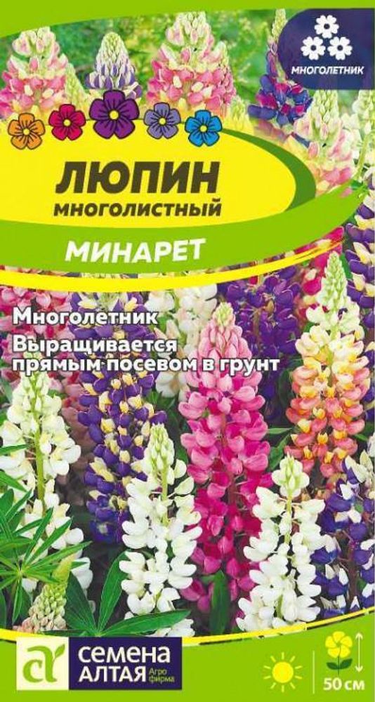 Минарет Ц(Алт)