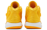 Кроссовки Nike Kd14 Tb Promo 14