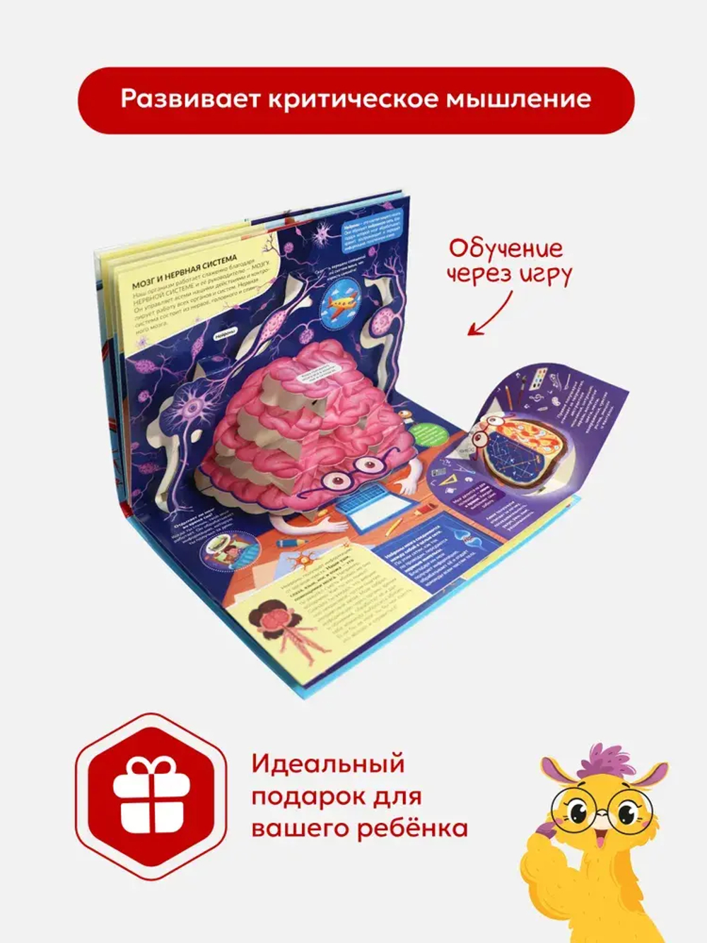 POP UP энциклопедия