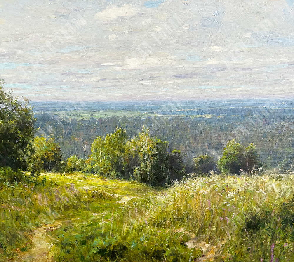 Плотников В.В. Родные просторы. Холст, масло. Россия, 2015 г.