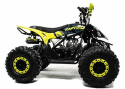 Квадроцикл MOTOLAND 125 Raptor
