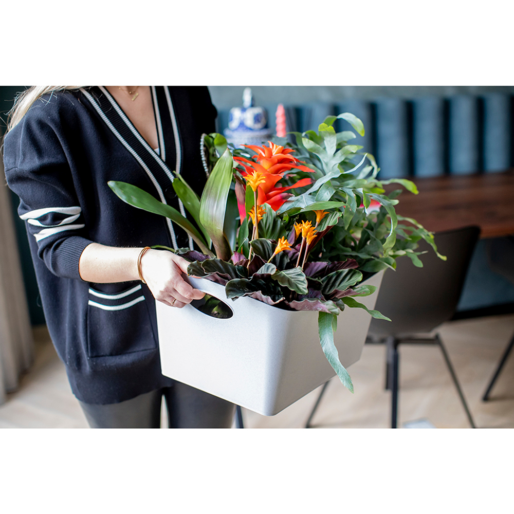 Контейнер для хранения boxxx, organic, 15 л, зеленый