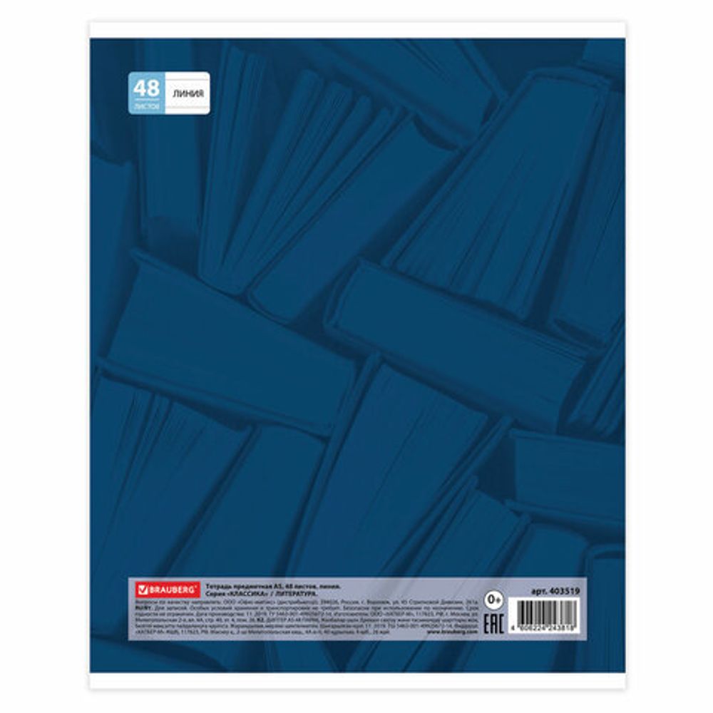 Тетради предметные, КОМПЛЕКТ 10 ПРЕДМЕТОВ, КЛАССИКА, 48 листов, BRAUBERG, 403559