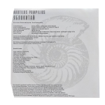 Nautilus Pompilius / Яблокитай (LP)