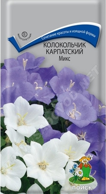 Колокольчик карпатский см