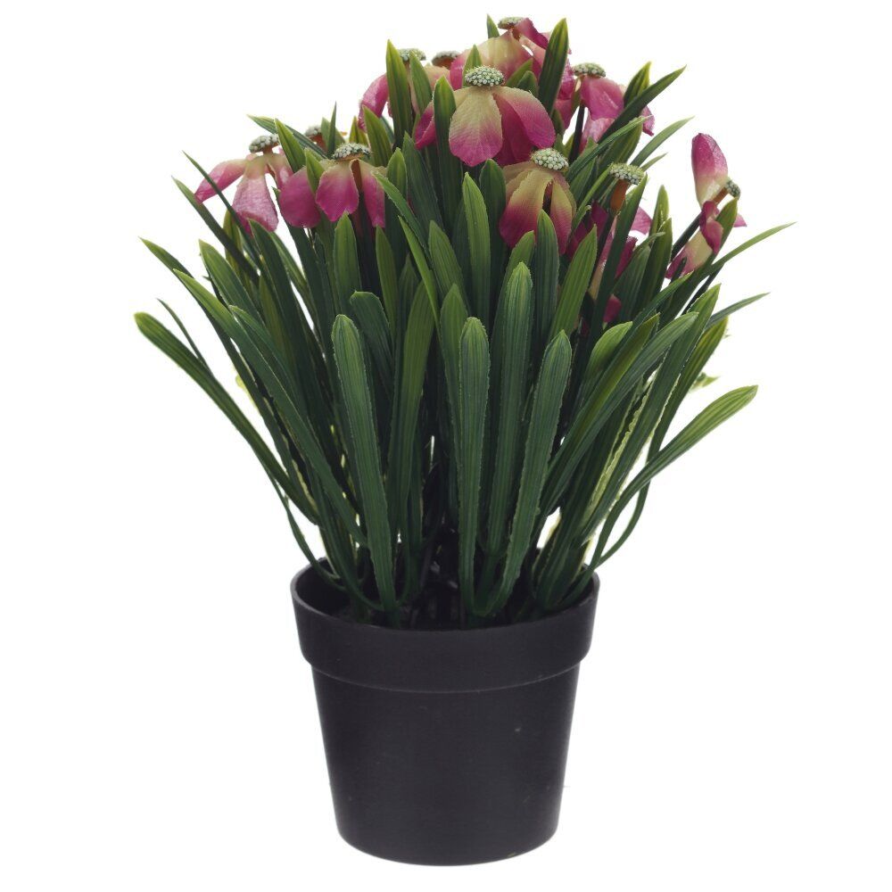 GAEM Цветочная композиция, L18 W18 H26 см