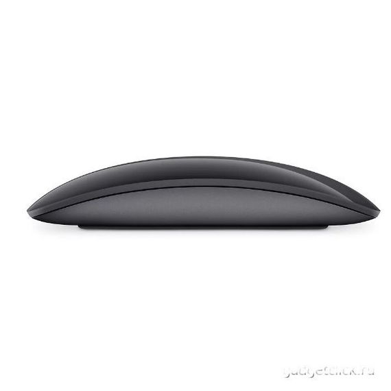 Мышь Apple Magic Mouse (Серый космос)