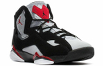 Кроссовки Jordan Air Jordan 7 True Flight